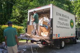 Professional Junk Removal  in Zapata, TX